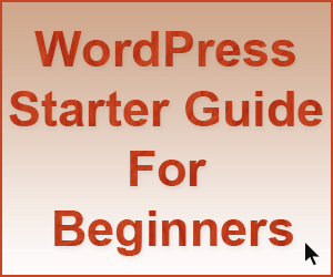 WP Starter Guide